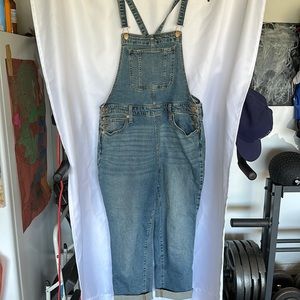 Universal Thread Denim Overalls